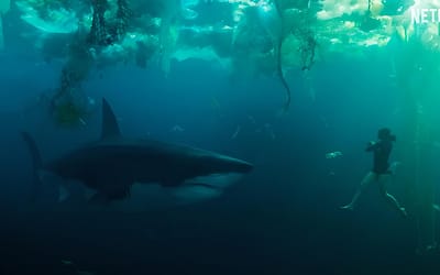 Netflix Shark Movie ‘Under Paris’ Sinks Its Teeth into New Poster