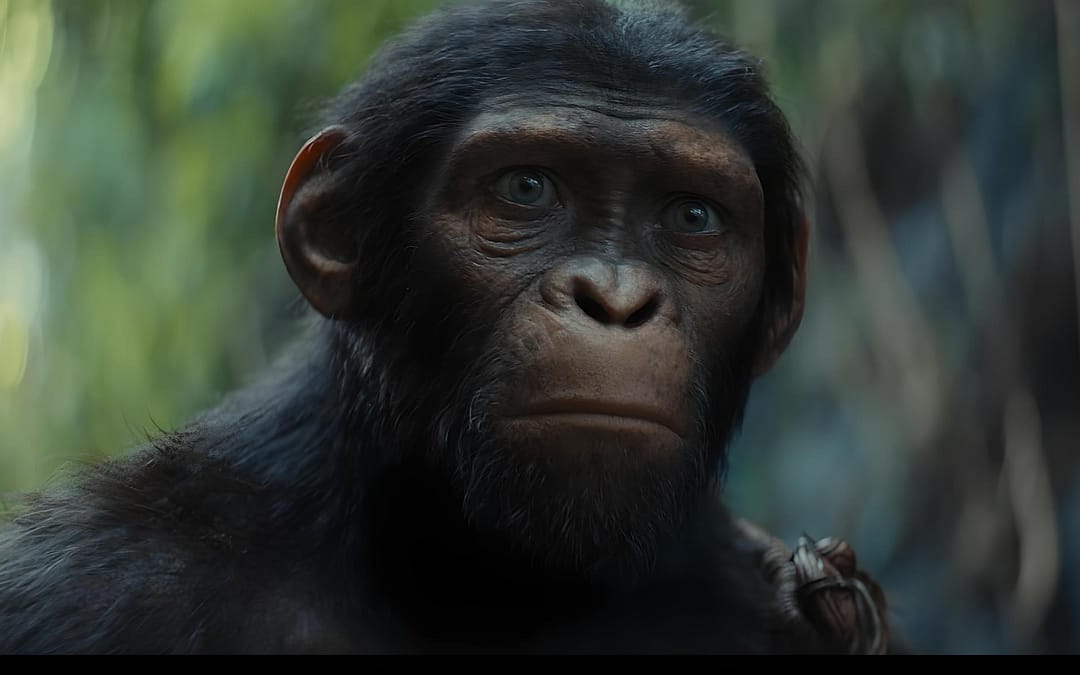 ‘Kingdom of the Planet of the Apes’ Swings into Theaters This May