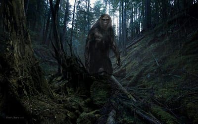 Small Town Monsters Presents: ‘On The Trail Of Bigfoot: Last Frontier’