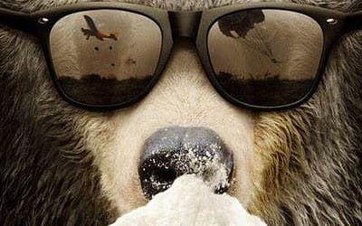 Watch ‘Cocaine Bear’ And The True Story Documentary Now On Peacock