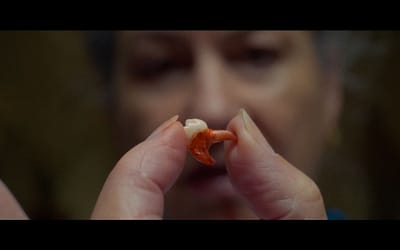 Shorts Reviews: TOOTH, MILLSTONE, and HUBBARDS (Slamdance Film Festival)